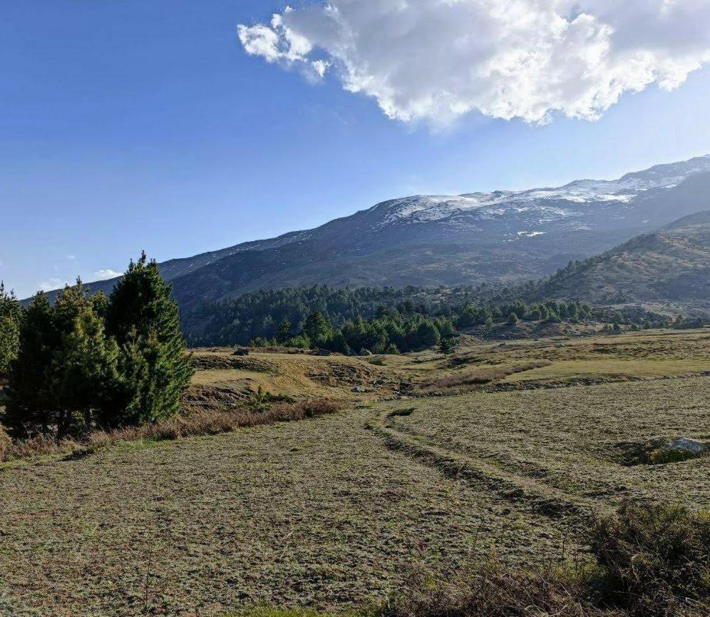 Fayul Retreat - India Highest Glamp And Ecoluxury Stay Kalpa Exterior foto